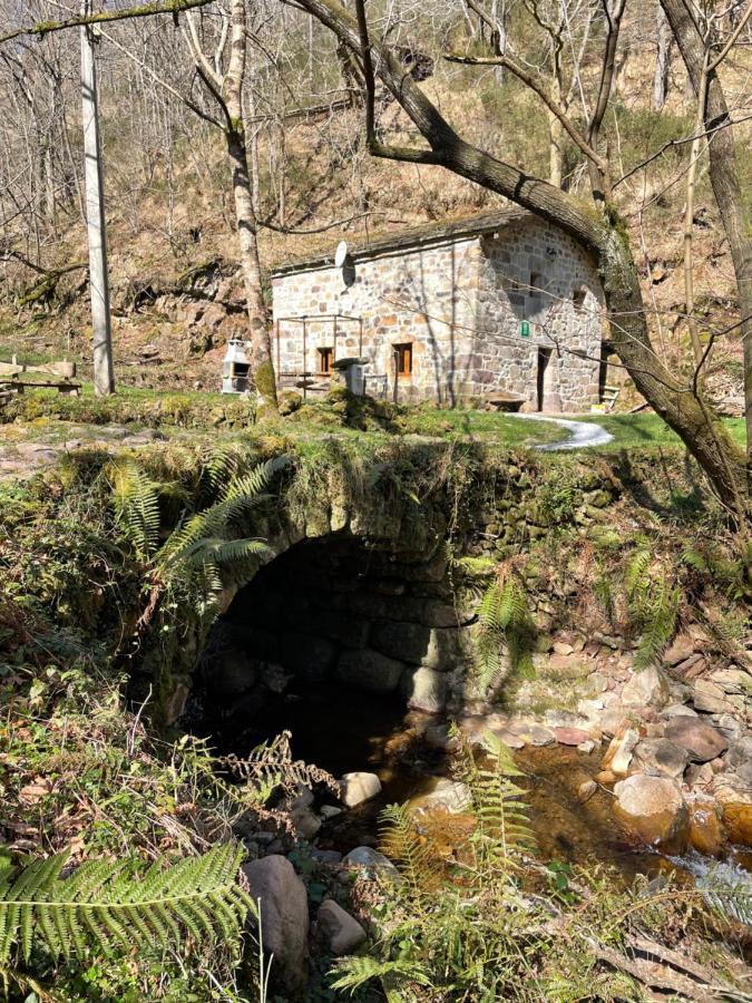 La Cabana Del Rio San Roque de Ríomiera エクステリア 写真
